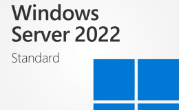 Server 2022 Lisans