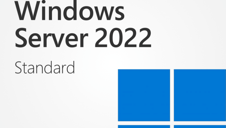 Server 2022 Lisans