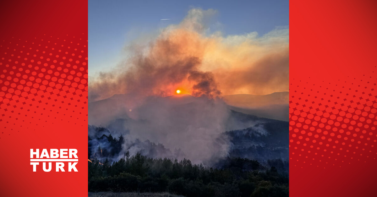 Bursa’daki yangın Balıkesir’e sıçradı!