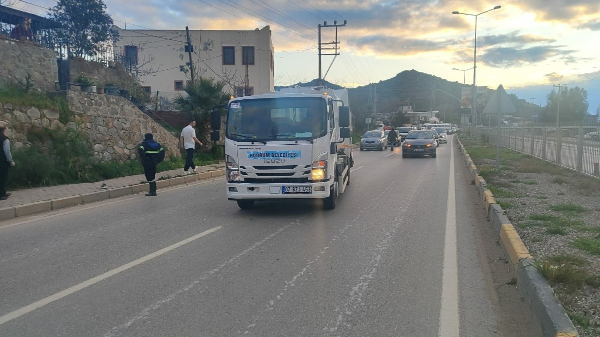 Muğla’da köpekten kaçarken kamyon çarptı